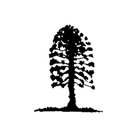 Musgrave Park Cultural Centre - Goulburn Accommodation 2