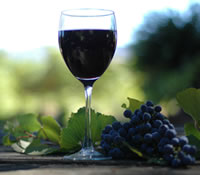  Goulburn Accommodation