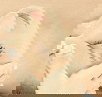 The Golden Door Spa  Health Club at Mirage Resort - Goulburn Accommodation