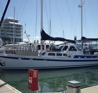 Coral Sea Dreaming Dive and Sail - Goulburn Accommodation
