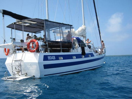 Coral Sea Dreaming Dive And Sail - Goulburn Accommodation 3
