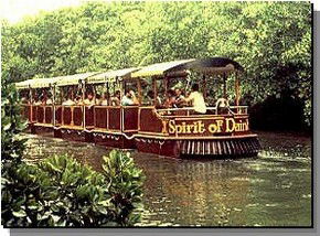 Daintree Rainforest River Trains - Goulburn Accommodation 0