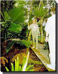 Daintree Rainforest River Trains - Goulburn Accommodation 1
