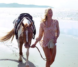 Ride The Beach - Goulburn Accommodation 3