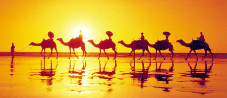 Banksia Adventures - Goulburn Accommodation 1