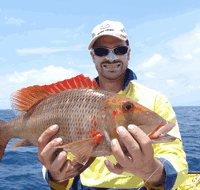 Carlo Fishing Charters - Goulburn Accommodation