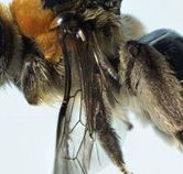 Western Australian Museum - Goulburn Accommodation