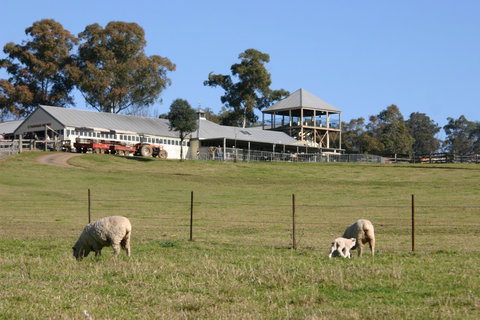 Calmsley Hill City Farm - Goulburn Accommodation 3