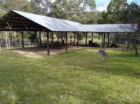 Calmsley Hill City Farm - Goulburn Accommodation 5