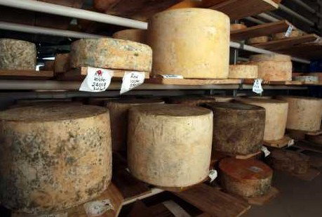 Witches Chase Cheese Co - Goulburn Accommodation 3