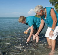 Aquascene Fish Feeding Sanctuary - Goulburn Accommodation