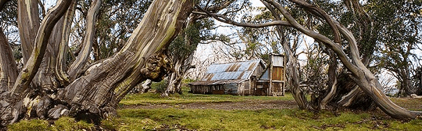 High Country Scenic Tours - Goulburn Accommodation