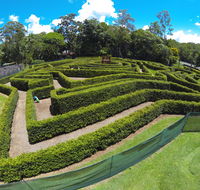 Bellingham Maze - Goulburn Accommodation