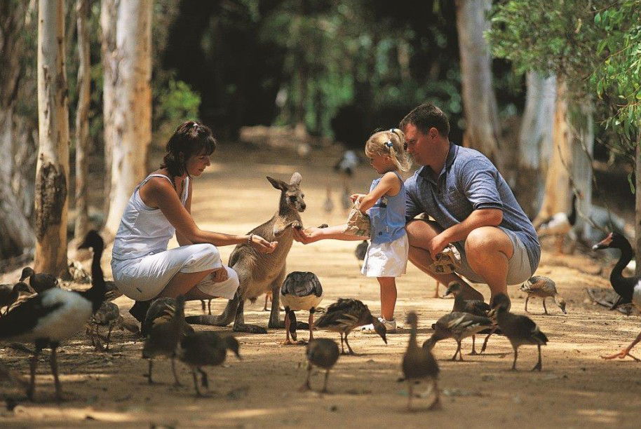 Townsville QLD Goulburn Accommodation