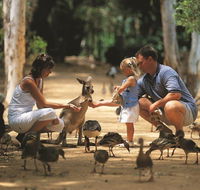 Billabong Sanctuary - Goulburn Accommodation