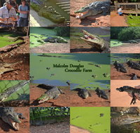 The Malcolm Douglas Crocodile Park - Goulburn Accommodation