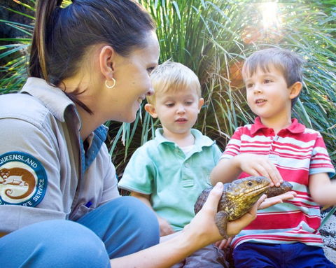 David Fleay Wildlife Park - Goulburn Accommodation 3