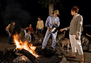 Cairns Night Zoo - Goulburn Accommodation