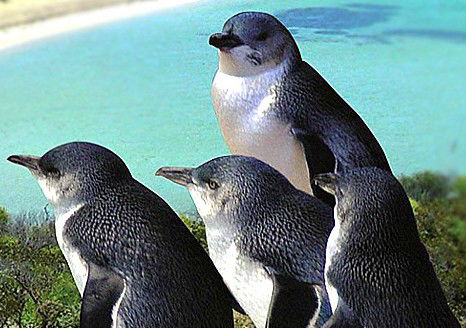  Goulburn Accommodation