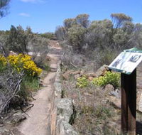 Christmas Rock Walk - Goulburn Accommodation