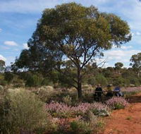 Karlkurla Bushland Park - Goulburn Accommodation