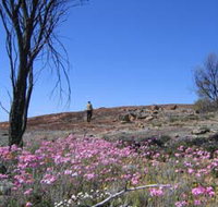 Talgomine Reserve - Goulburn Accommodation