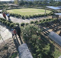 Kojonup Rose Maze - Goulburn Accommodation