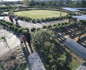 Kojonup Rose Maze - Goulburn Accommodation 0