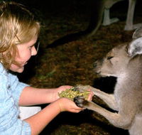 Discovery Bay's Walk on the Wild Side - Goulburn Accommodation