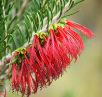 Ethel Daw Scenic Drive - Goulburn Accommodation
