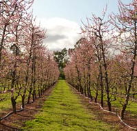 Raeburn Orchards - Goulburn Accommodation