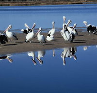 Peel Region Canoe Trails - Goulburn Accommodation