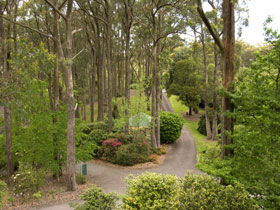 Mount Lofty Botanic Garden - Goulburn Accommodation 0