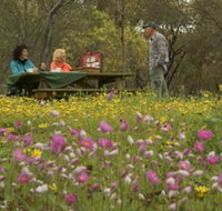 Gwambygine Park - Goulburn Accommodation