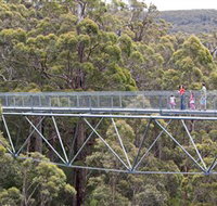 Walpole Wilderness Discovery Centre - Goulburn Accommodation
