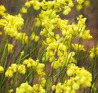 Mount Madden Scenic Drive - Goulburn Accommodation