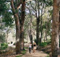Law Trail and Lotterywest Federation Walkway Kings Park - Goulburn Accommodation