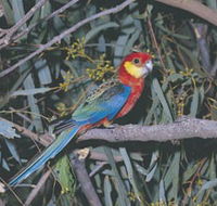 King River - Goulburn Accommodation