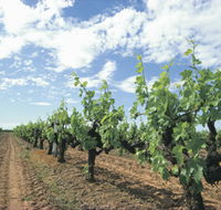 Blackwood Meadery - Goulburn Accommodation