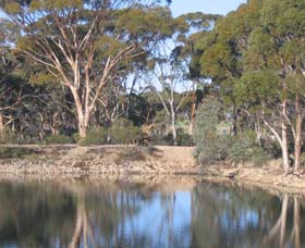 Merredin Railway Dam - Goulburn Accommodation 0