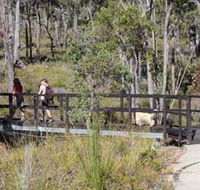 Forest Path Crooked Brook - Goulburn Accommodation