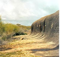 Totadgin Dam Reserve - Goulburn Accommodation