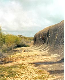 Totadgin Dam Reserve - Goulburn Accommodation 0