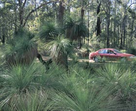 Bridgetown Jarrah Park - Goulburn Accommodation 0