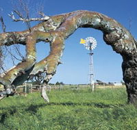 Greenough Leaning Trees - Goulburn Accommodation