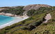 Great Ocean Pathway - thumb 0