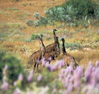Jurabi Coastal Reserve - Goulburn Accommodation