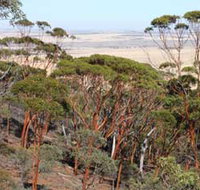Mount Matilda Walk Trail Wongan Hills - Goulburn Accommodation