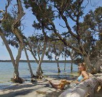 Stokes National Park - Goulburn Accommodation