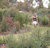 The Mythic Mazes - Goulburn Accommodation